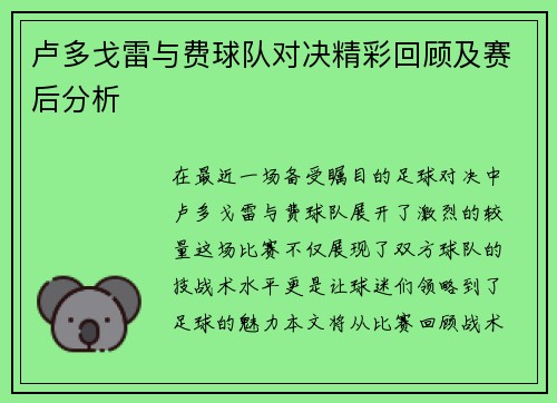 卢多戈雷与费球队对决精彩回顾及赛后分析